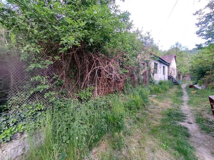 Sasca Montana | Oportunitate | Casa cu 230 MP Teren