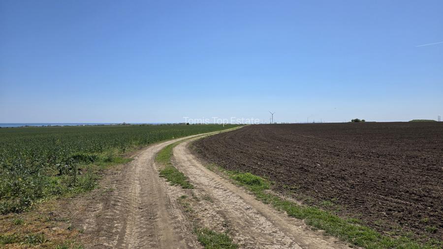 Teren extravilan in Corbu, 5000 MP, zona Plaja Corbu, doar 15 euro/mp - 2
