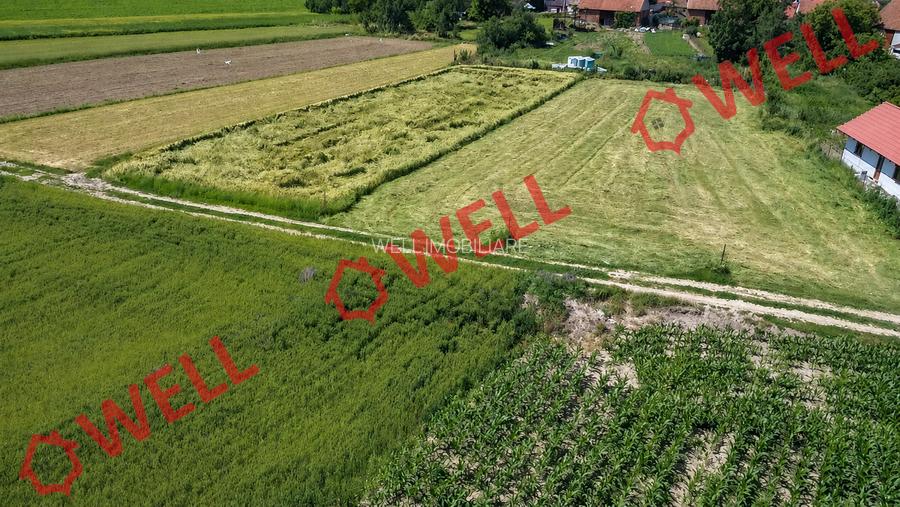 De vânzare teren intravilan în Baraolt, pe strada Apei! - 7