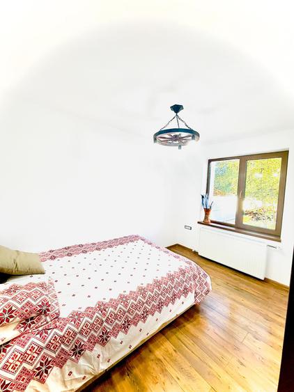 Casa cu 7 camere, Neamt Com Alexandru cel Bun - Viisoara cod 157192