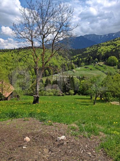 Teren intravilan 3400 mp, in Balaban - Simon, Bran - Brasov - 8