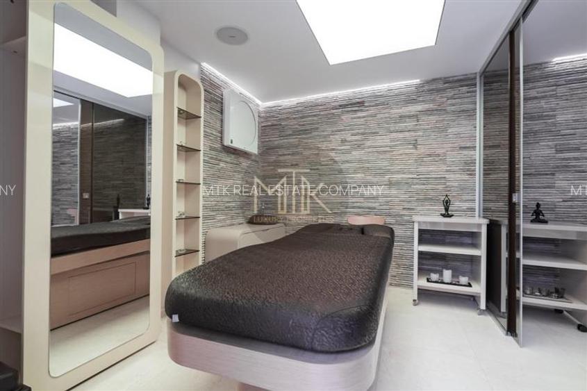 Proprietate premium cu curte – ideala pentru business-uri | LACUL TEI