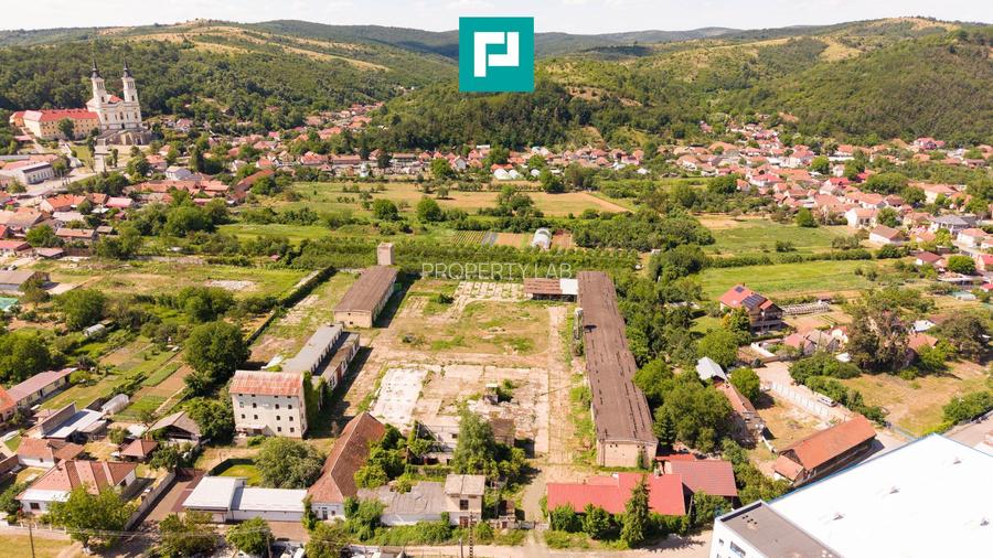 Spațiu industrial cu Teren 13.072 mp în Lipova - 4
