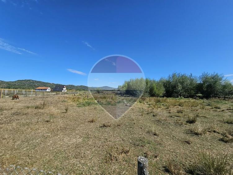 Teren 3,000mp Tisa / Drumul Laga lac