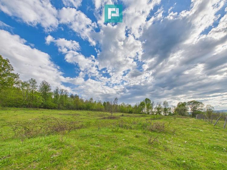 Casă cu teren de 17.681 mp, în loc. Hălmăgel, Arad - 19