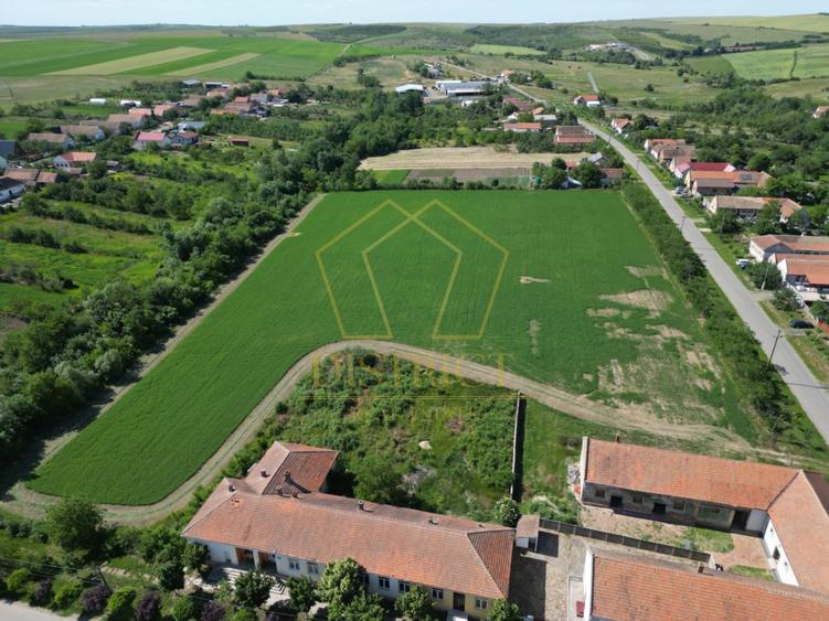 Teren de 1.6ha ideal pentru dezvoltare rezidentiala sau proiect turistic
