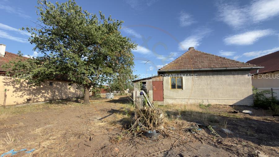 Casă 3 camere, Teren 1036 mp Front 22 m - Str. Florilor 46 - Carei - - 17