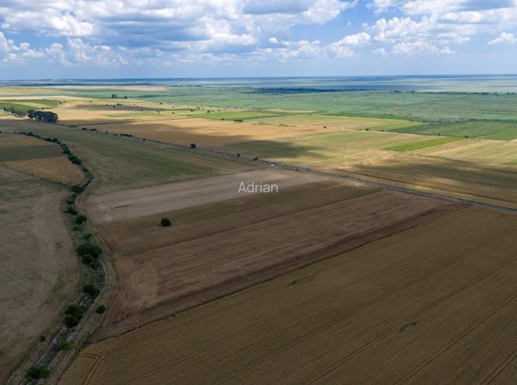 Vând teren agricol la șosea de 30.000mp în Iazurile comuna Valea Nucarilor