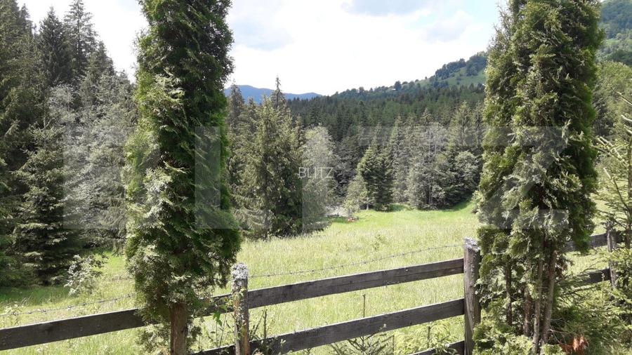 Casă de vacanță în Piatra Fântânele + 4,5 arii teren