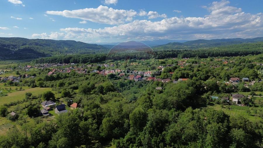 Casă de vânzare in natura la tara - Mihaesti - 7