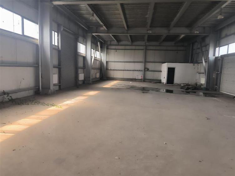Închiriere hală industrială 1.000 mp , Ciorogârla | Zonă