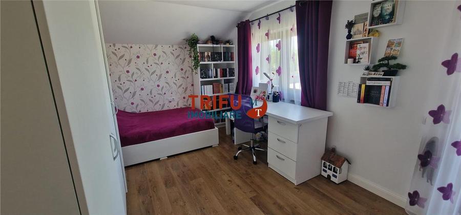 Casa 5 camere de vanzare Alba Micesti