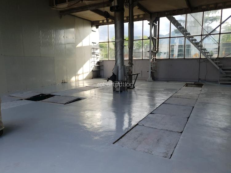 Hala industriala de inchiriat pe Calea Bucuresti folosinta multipla - 13