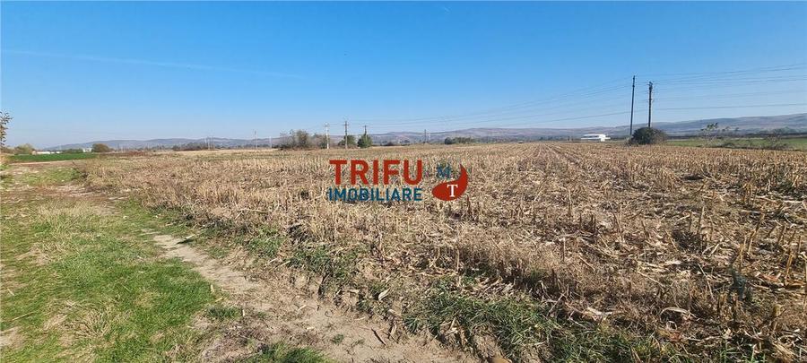 Teren intravilan de vanzare 2900 mp pe Soseaua de Centura