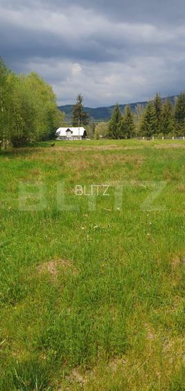 Teren intravilan, 8095 mp, zona Saru Dornei - Vatra Dornei - 2