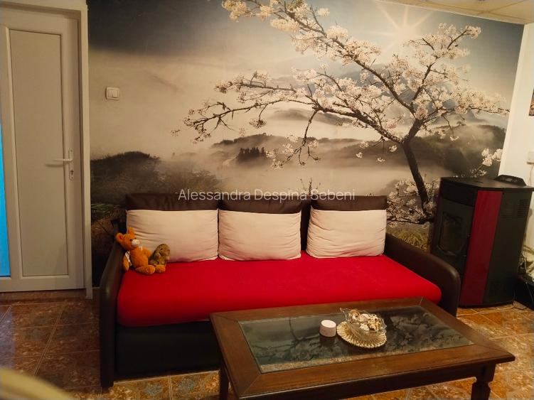 Apartament Gugesti   - 4
