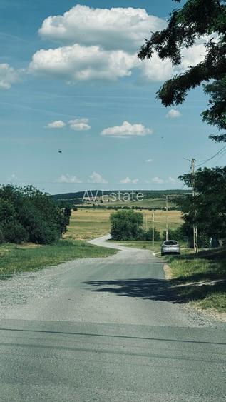 MT255 Teren intravilan 1.493 mp, Curti Constructii, Ianova-Remetea Mare - 7