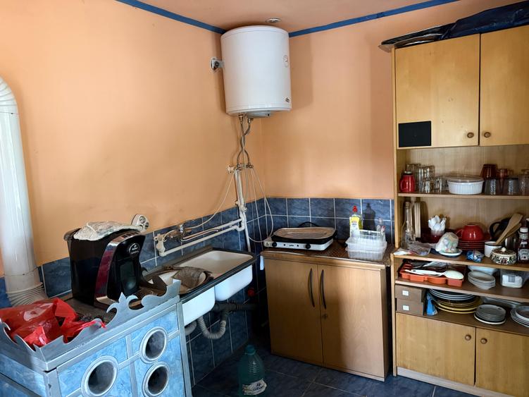 CASĂ DE VACANȚĂ ÎN GRADINA VIILOR CAREI CU 1.924 MP TEREN FRONT 15M