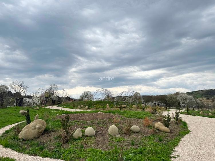 De vanzare 0,75ha cu doua case, gradina, livada etc Ideal camping, tabere, ferma - 10