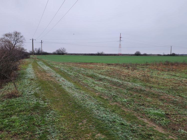 Vand teren agricol extravilan în Giroc