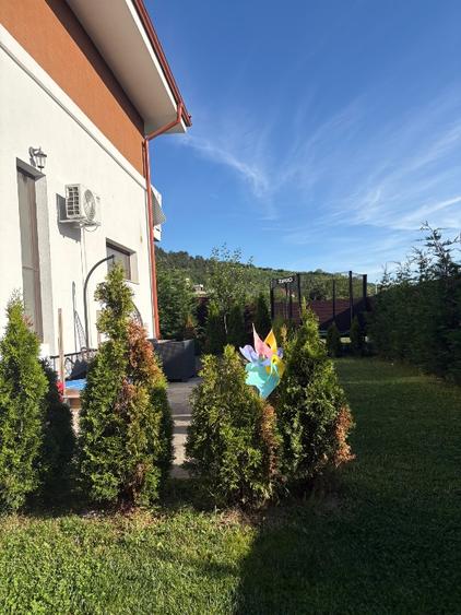 Vand casa individuala in Floresti str Narciselor