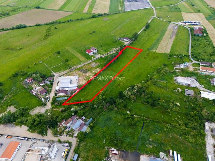 Teren de 9.810mp de vânzare– Bascov, acces rapid A1, E81 - 3