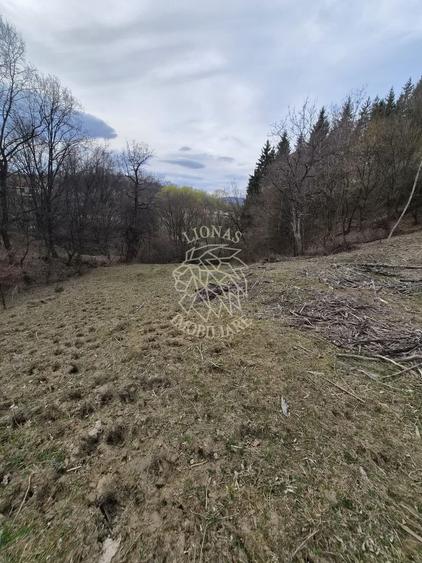 Teren extravilan 1500 mp, 5 min de centru, ideal Cabana, invetitie