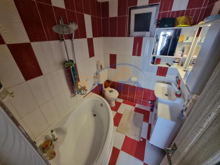Casă cu teren 1.375 mp de vânzare în Satulung – COMISION 0