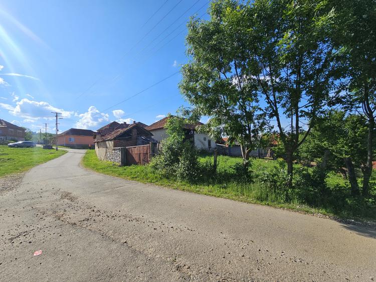 Casa la tara cu 3 camere + teren intravilan Sup 962 mp, Colesti, Bihor