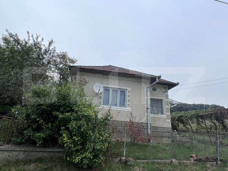 Casă cu potențial deosebit și teren de 3.400 mp în Recea Cristur