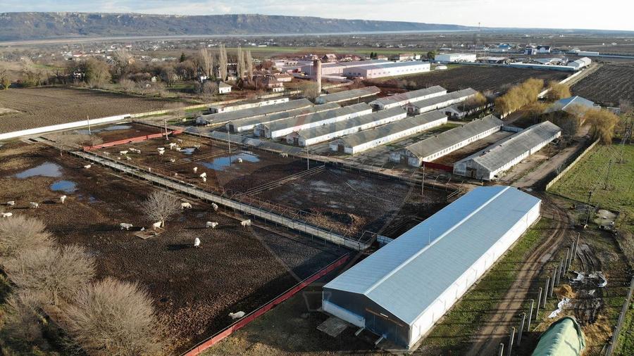 9 ha teren intravilan plus 16mii hale