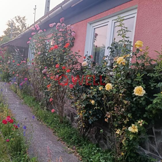 CASĂ DE VÂNZARE