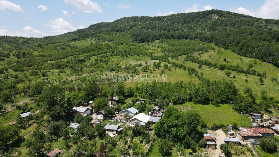 Teren spectaculos cu padure, livada si priveliste panoramica in Soimari PH - 4