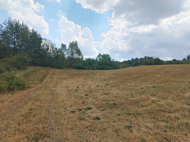 2 Parcele de teren extravilan zona Bradet Pret 3000eur/ar neg usor