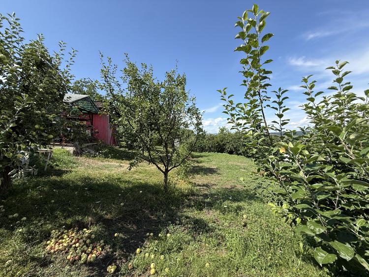 Teren intravilan de vânzare | 852 mp | Cugir | Împrejmuit