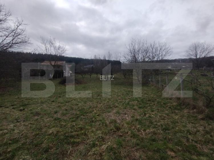 Teren intravilan, 1700 mp, utilitati, zona Dealu Jelnei - 3