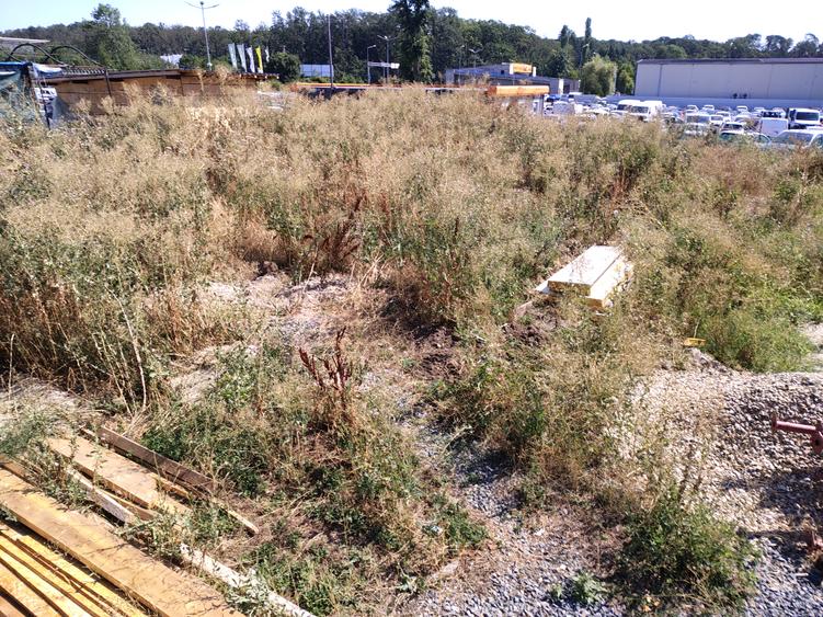Teren 600 mp pentru construcție rezidențială – Drumul Lăpuș, Băneasa, lângă DN1