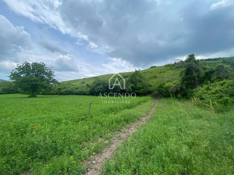 Domeniu 15.900 mp în Fințești | Casă + Investiție Dealu Mare