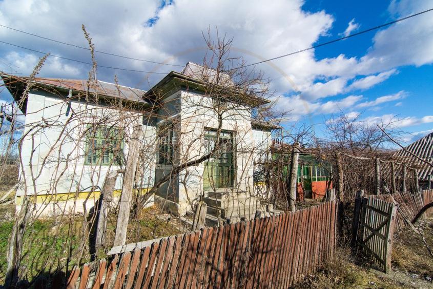 Casa traditionala argeseana – comuna Vedea, jud. Arges - 4