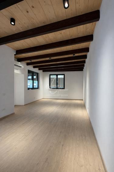 Casa - rezidential sau birouri in zona Banu Manta - piata 1 Mai