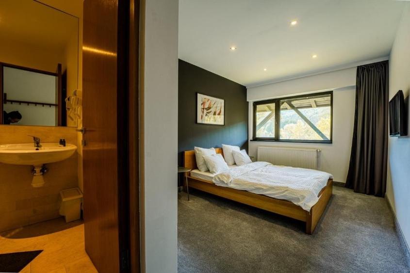 Cabana de vânzare în mijlocul pădurii