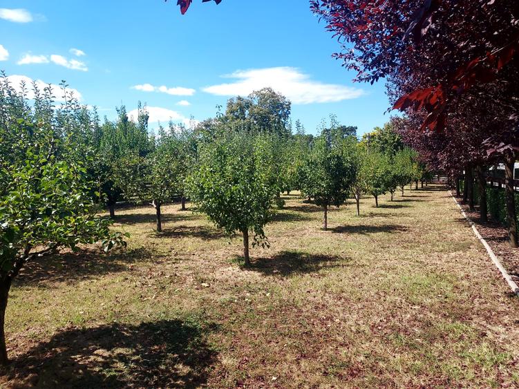 CLUB SNAGOV-VILA SUPERBA, TOTAL PRIVACY,FINISAJE LUX,CURTE 2000 MP,565000 EURO