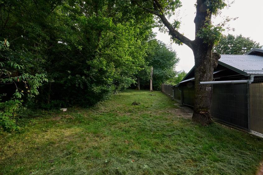 Casa P+ 1+ teren 507 mp cu vecin padurea Pitesti