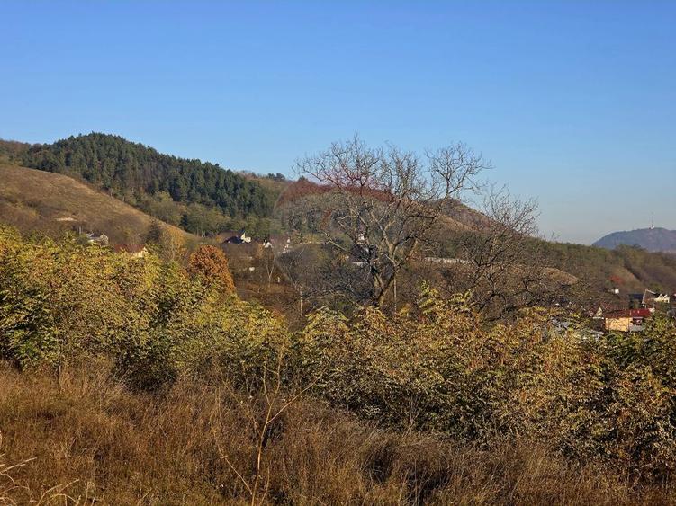 Teren 6,874mp Alexandru cel Bun / Strada plopusor