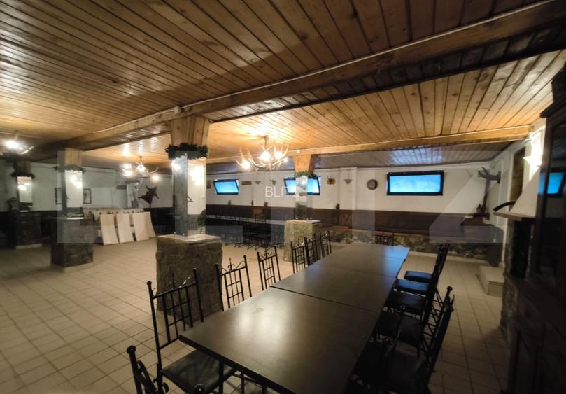 Proprietate multifuncțională, 1.850 mp utili, 23.750 mp teren, zona Brestei - 20
