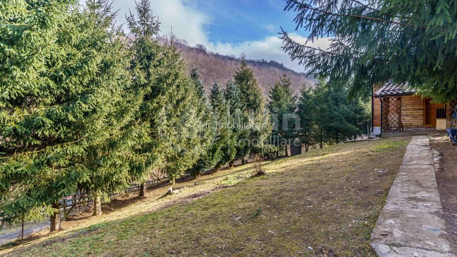 Comision 0% Casa de vacanta in Muntele Rece | Priveliste Panoramica - 20