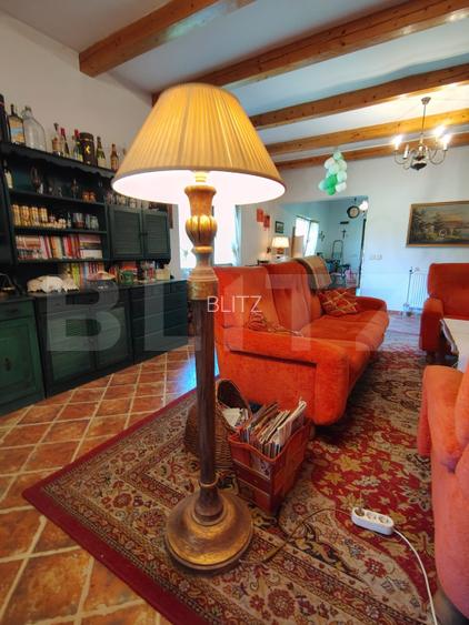 Proprietate rezidențială stil mediteranean, acces la pârâu, în Someșu Rece - 7