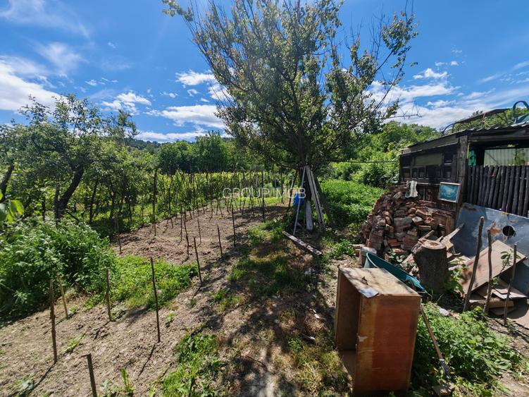 Oportunitate Rară: 3 Case în Aceeași Curte| 66.000 euro - 10
