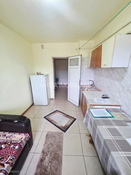 Vanzare apartament 2 camere decomandat, Malu Rosu, parter inalt - 11