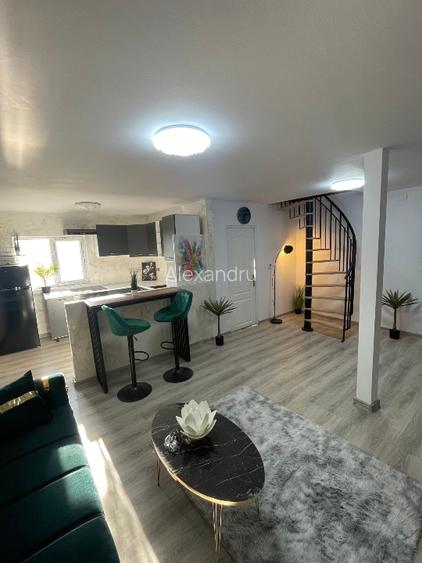 Surduc lake house 574 - 15